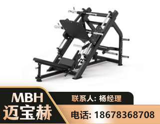 孝感45°倒蹬训练器