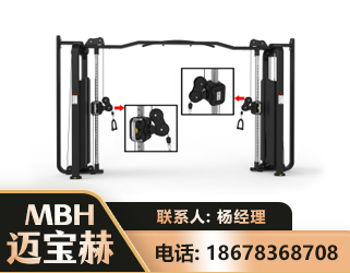 孝感大飞鸟训练器