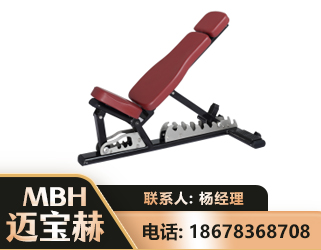 孝感可调哑铃椅