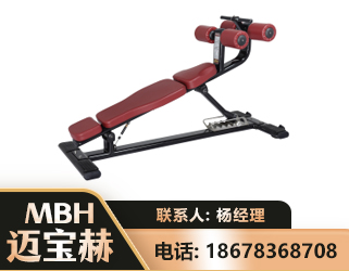 孝感可调腹肌板